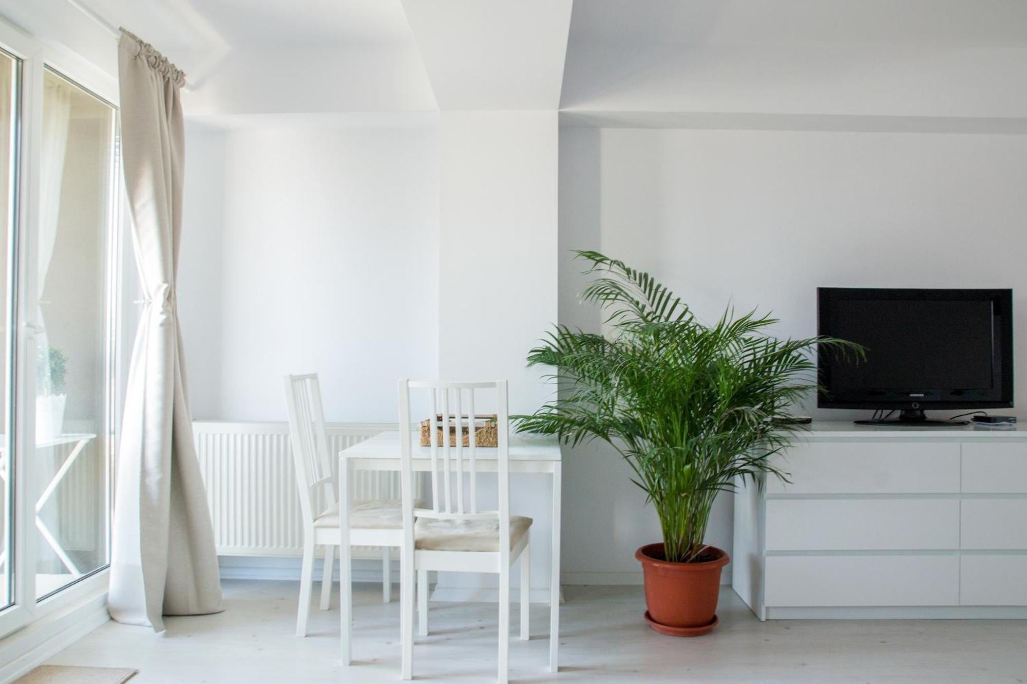 Airport Residence - 5 Mins From Airport Otopeni Kültér fotó
